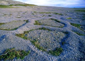 Surreal terrain of Burnt Cape