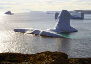 Icebergs in Goose Cove